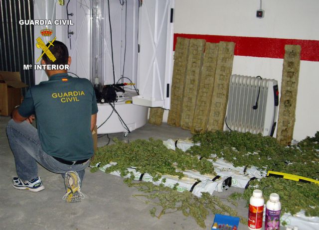 La Guardia Civil desarticula un punto de cultivo, elaboración y venta de marihuana en Lorquí - 4, Foto 4