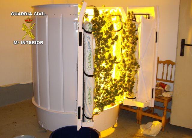 La Guardia Civil desarticula un punto de cultivo, elaboración y venta de marihuana en Lorquí - 5, Foto 5