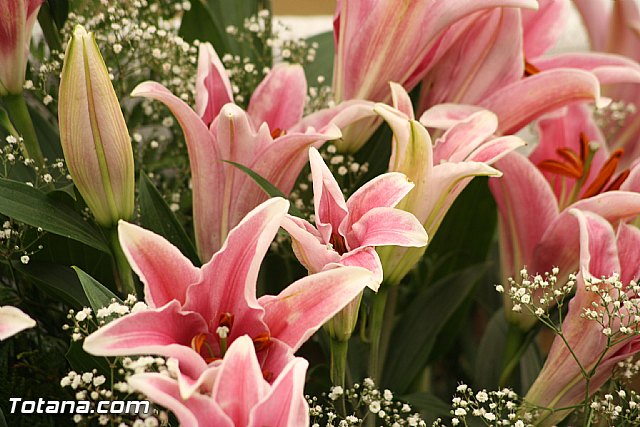 El pasado domingo tuvo lugar una Misa Rociera en la caseta de los Romeros de Lbor - 15