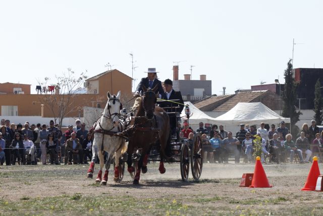 1ª Liga Regional de Concursos Combinados de Enganche - 4, Foto 4