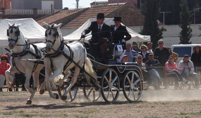 1ª Liga Regional de Concursos Combinados de Enganche - 5, Foto 5