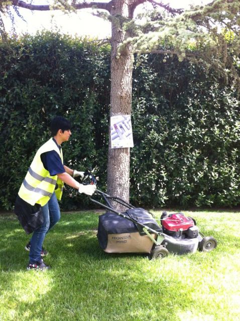 Jóvenes desempleados realizan prácticas de jardinería en espacios municipales en el marco del Proyecto Labor - 2, Foto 2