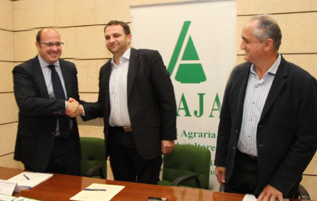El Ayuntamiento y ADEA-ASAJA promoverán nuevas actuaciones para impulsar el desarrollo económico del sector agrícola y ganadero en el municipio - 1, Foto 1