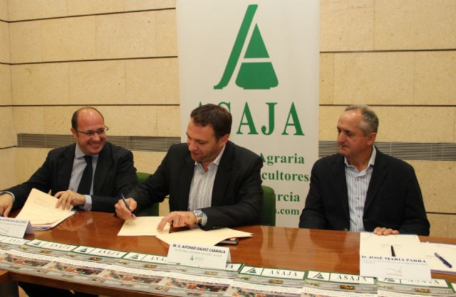 El Ayuntamiento y ADEA-ASAJA promoverán nuevas actuaciones para impulsar el desarrollo económico del sector agrícola y ganadero en el municipio - 2, Foto 2