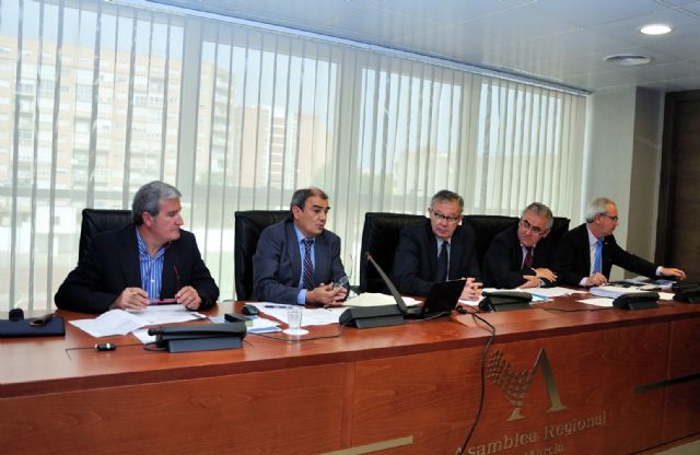 Ucomur y Fecoam piden que se mantenga el apoyo a las empresas de economía social - 3, Foto 3