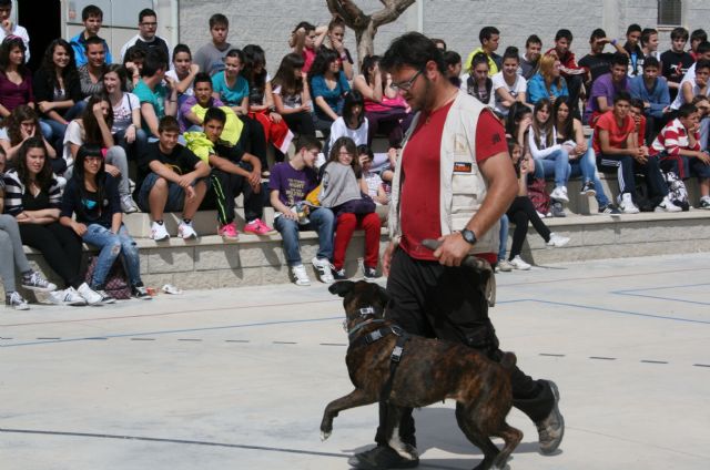 El IES Romano García acoge una exhibición canina de la mano de ASICAT - 1, Foto 1