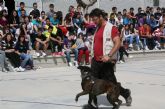 El IES Romano Garca acoge una exhibicin canina de la mano de ASICAT