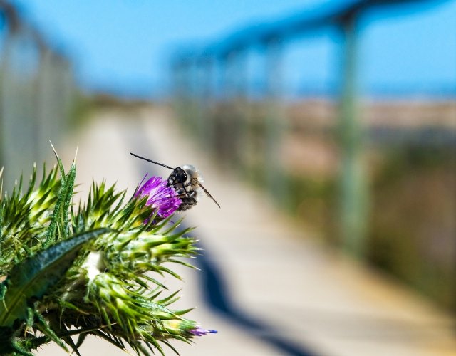 Turismo premia las mejores imágenes captadas en la Travesía Fotográfica de la I Sea World Exhibition - 1, Foto 1