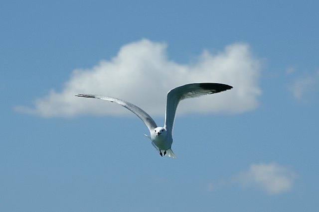 Turismo premia las mejores imágenes captadas en la Travesía Fotográfica de la I Sea World Exhibition - 2, Foto 2