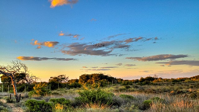 Turismo premia las mejores imágenes captadas en la Travesía Fotográfica de la I Sea World Exhibition - 3, Foto 3