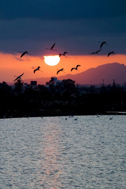 Turismo premia las mejores imágenes captadas en la Travesía Fotográfica de la I Sea World Exhibition - 4, Foto 4