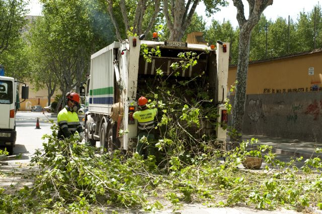 Corte de tráfico en Ramón y Cajal por la poda de arbolado - 1, Foto 1