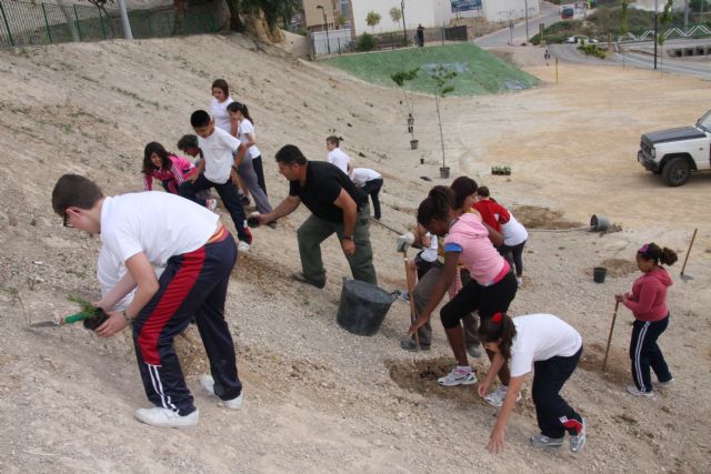 El Ayuntamiento de Molina de Segura lleva a cabo la plantación de 200 plantas forestales en la Rambla de los Calderones - 2, Foto 2
