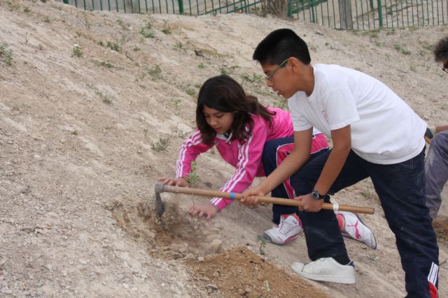 El Ayuntamiento de Molina de Segura lleva a cabo la plantación de 200 plantas forestales en la Rambla de los Calderones - 3, Foto 3