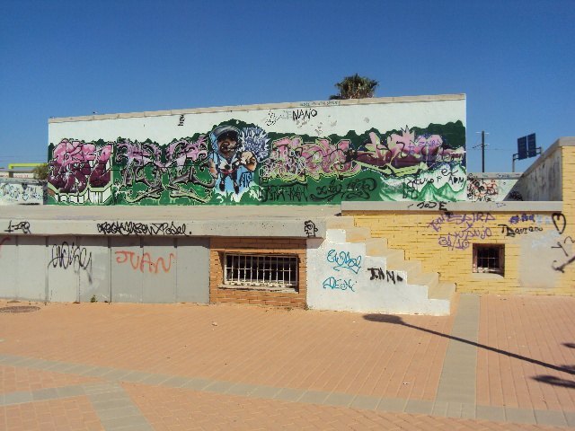 Los socialistas denuncian que la imagen de Guadalupe está siendo insultada debido a los graffitis en los símbolos principales - 3, Foto 3