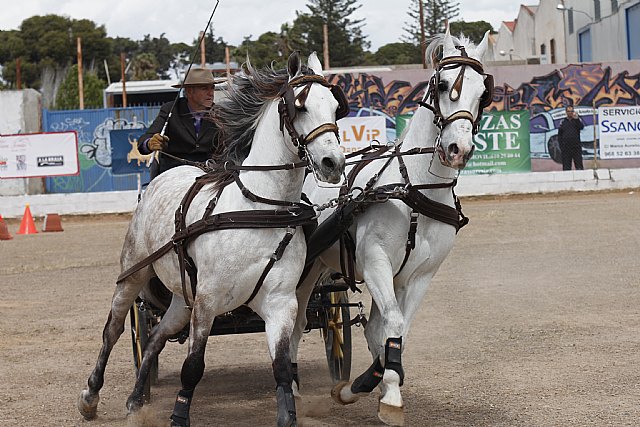 Clasificación 1ra Liga Regional Enganches Ecuestres - 1, Foto 1