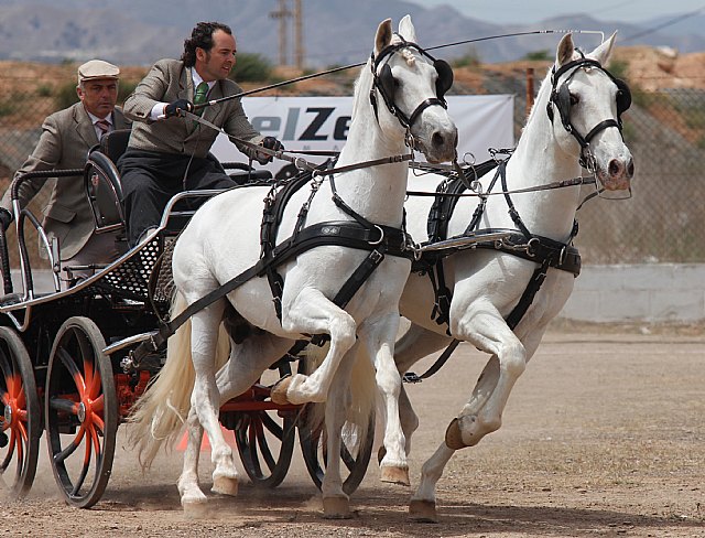 Clasificación 1ra Liga Regional Enganches Ecuestres - 2, Foto 2