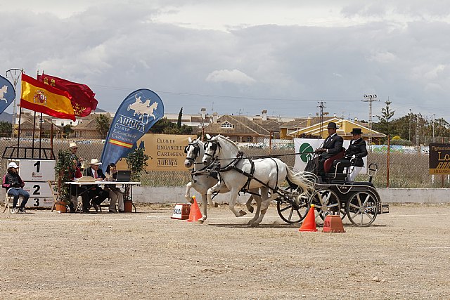 Clasificación 1ra Liga Regional Enganches Ecuestres - 4, Foto 4