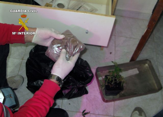 La Guardia Civil desarticula un punto de cultivo, elaboración y venta de marihuana en Huércal-Overa - 1, Foto 1