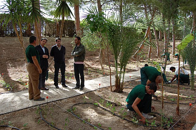 Los alumnos del curso “Actividades auxiliares en viveros, jardines y centros de jardinería” ponen en marcha un huerto escolar - 1, Foto 1