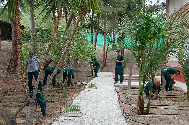 Los alumnos del curso “Actividades auxiliares en viveros, jardines y centros de jardinería” ponen en marcha un huerto escolar - 2, Foto 2