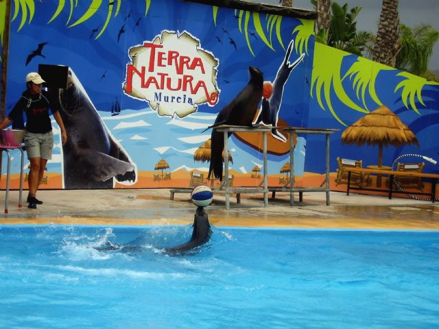 La Concejalía de Juventud torreña propone un viaje a Terra Natura - 1, Foto 1