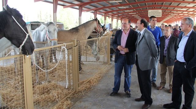 Inaugurada la Feria de Ganado Equino de Puerto Lumbreras que muestra más de 500 ejemplares de ganado durante todo el fin de semana - 1, Foto 1