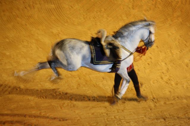 Los murcianos disfrutaron del espectáculo de flamenco y doma Pasión y Duende del Caballo Andaluz - 1, Foto 1