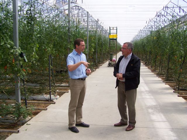 Águilas a la cabeza de las nuevas tecnologías en la producción de tomate - 1, Foto 1