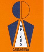 Ãpices publica un libro para celebrar su 20 aniversario - 1, Foto 1