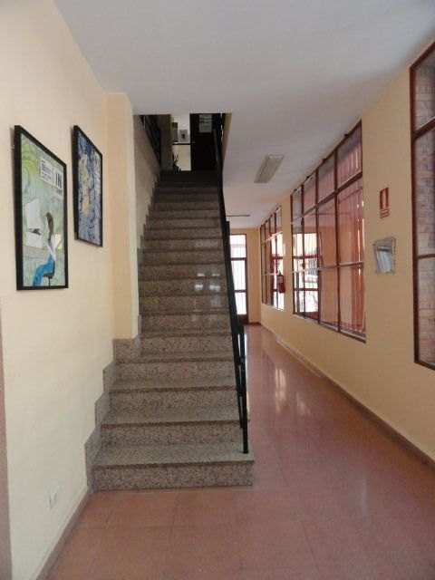 El Grupo Socialista denuncia que la biblioteca de El Palmar incumple la normativa de accesibilidad - 2, Foto 2