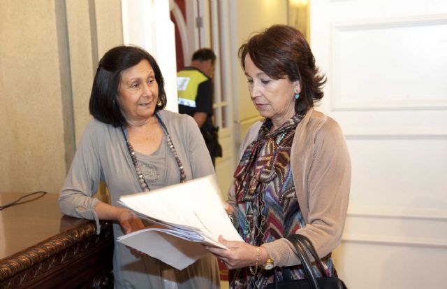 El pleno aprueba el plan de pago a proveedores, que podrán cobrar en junio - 2, Foto 2