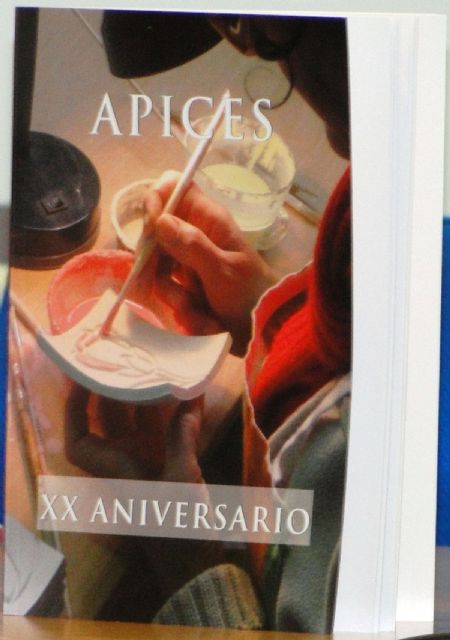 Un libro sobre APICES conmemora el XX Aniversario de la asociación - 3, Foto 3