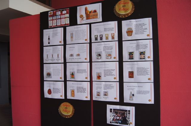 El colegio concertado Reina Sofía desarrolla sendos proyectos de innovación pedagógica, Foto 2