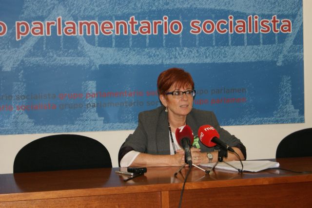 El PSOE denuncia que un año después de las elecciones autonómicas está bloqueado el diálogo social - 1, Foto 1