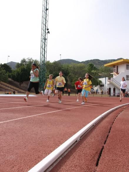 Éxito de los equipos lorquinos participantes en la fase final de las competiciones de deporte en Edad Escolar - 1, Foto 1