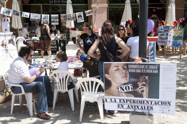 Diversión juvenil en Juan XXIII - 3, Foto 3