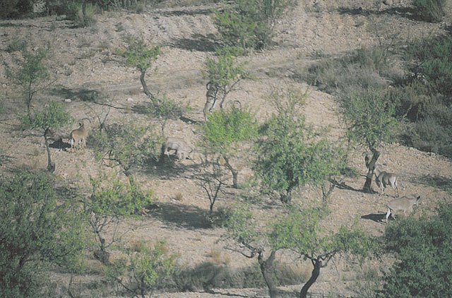 Cuarenta entidades agrarias de Totana se adhieren al manifiesto por un desarrollo sostenible y equilibrado de Sierra Espuña y su territorio circundante, Foto 1