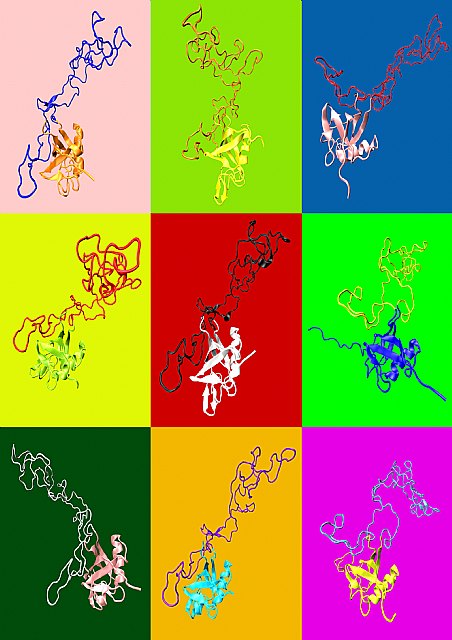 Formación polimórfica de una proteína neurotóxica. Cada color representa una simulación informática distinta de la proteína, Foto 1