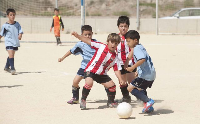 El C.D. Isaac Peral se proclama campeón de la liga regular en la categoría chupeta - 1, Foto 1