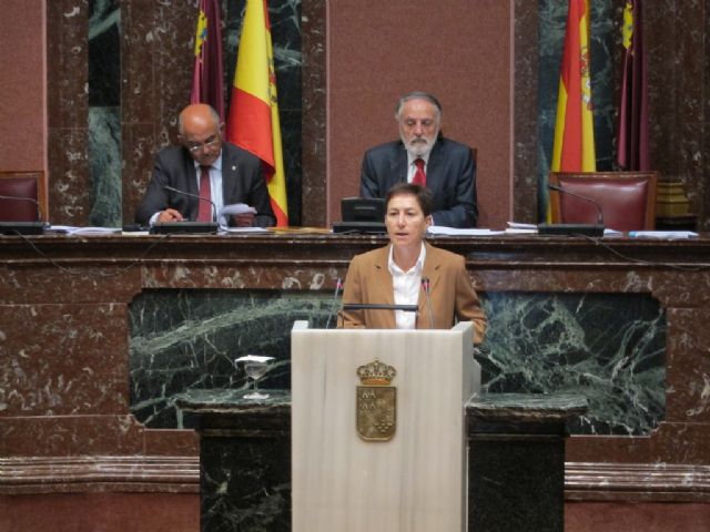 Catalina Lorenzo: La demagogia de los socialistas sólo busca preocupar a los ciudadanos cuando lo urgente es darles confianza - 1, Foto 1