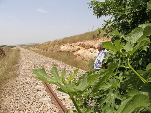 El Ayuntamiento ratifica su exigencia de reabrir la línea de tren con Baza - 2, Foto 2