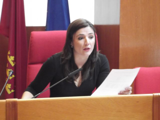 El PSOE exige a la Consejera Palacios que desmienta la eliminación de las consultas de tarde de Lorca-Centro y Lorca-Sur - 1, Foto 1