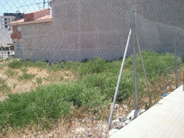 El Grupo Socialista  exige la limpieza inmediata de los solares de El Puntal, llenos de maleza, roedores, serpientes e insectos - 1, Foto 1