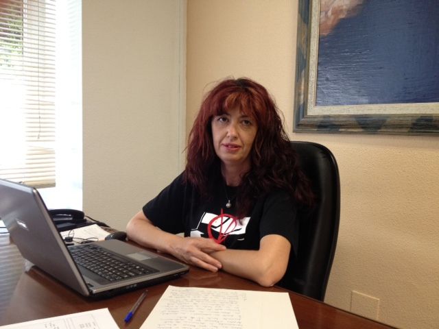 IU-Verdes defiende una mayor inversión en energías renovables y empleo verde - 1, Foto 1