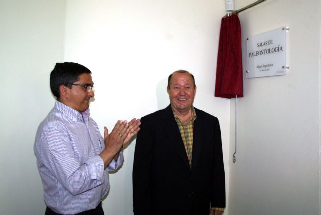 El Museo Arqueológico abre dos nuevas salas con más de 2.000 fósiles - 2, Foto 2