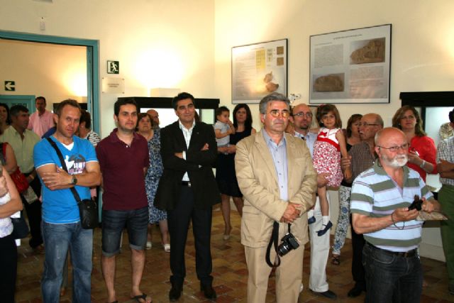 El Museo Arqueológico abre dos nuevas salas con más de 2.000 fósiles - 4, Foto 4