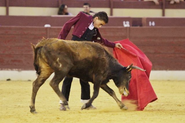 Un tentadero muy didáctico en la plaza de toros de Murcia - 4, Foto 4