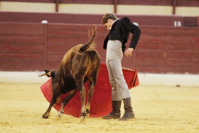 Un tentadero muy didáctico en la plaza de toros de Murcia - 5, Foto 5