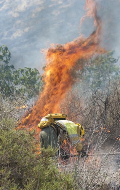 Controlado un incendio de matorral en la ladera de San Julián - 4, Foto 4